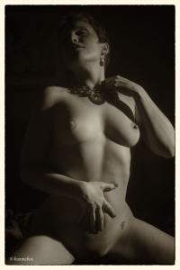 www.femmefete.com - Meg's Art Nudes thumbnail